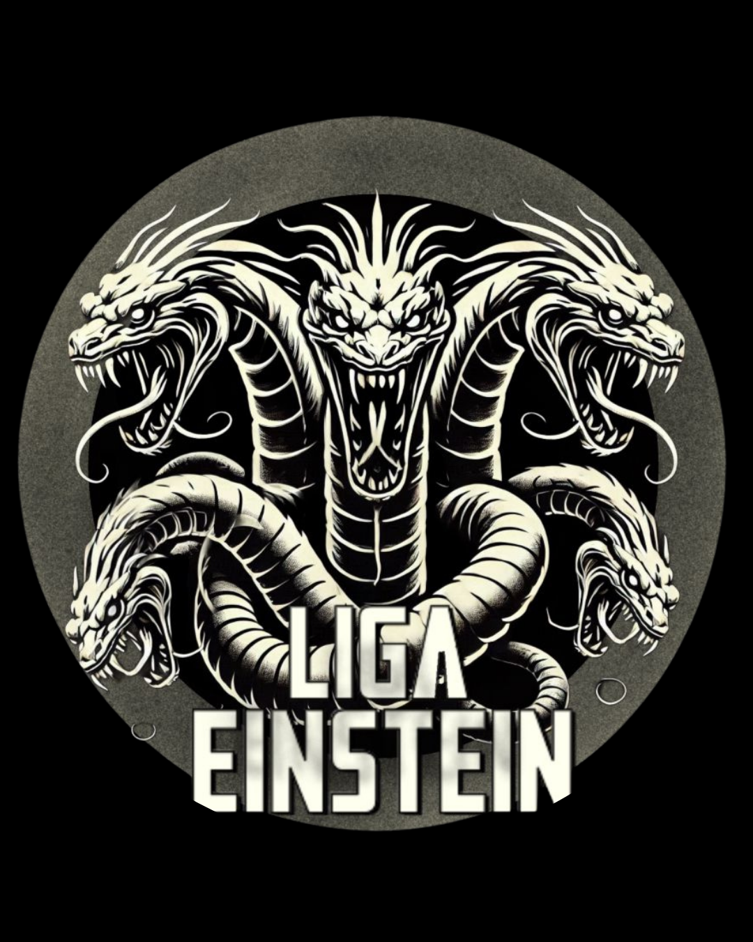 Logo Liga Einstein
